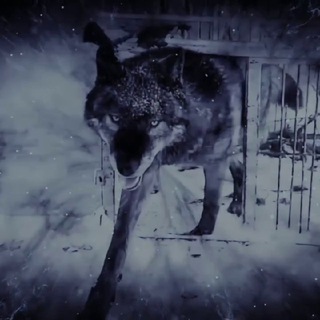 Логотип @lukakgztanimpire - EMPIRE LUKA KIRGHIZ