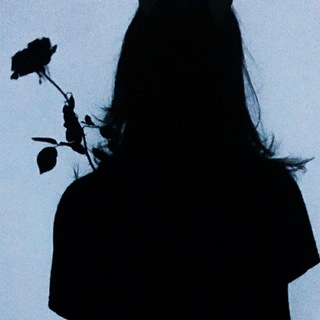 Логотип @lullaby_fam1ly - Lullaby_🕊