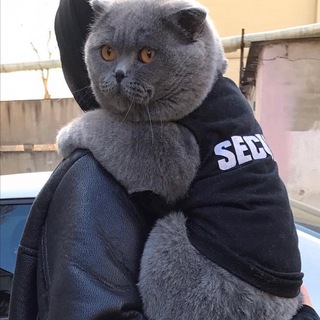 Логотип @lumuslimka - 🪐 ل