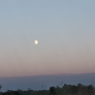 Логотип @lunadeambulatio - Лунная прогулка