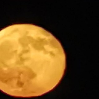 Логотип @lunanazume - Луна на зуме