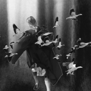 Логотип @lunarwoods - со всей дури.