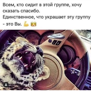 Логотип @lunatiki1_6 - 24⏳ онлайн 😈