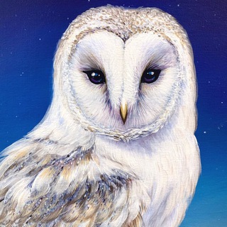 Логотип @lunedor - Birdy Sign ✨ Таро Астрология