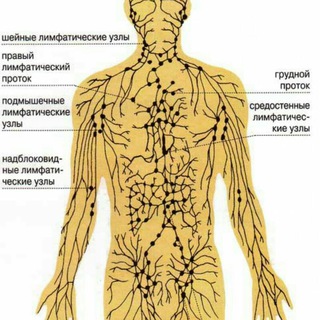 Логотип @lunimo - ЛИМФА (ЧИСТАЯ ВОДА)