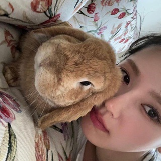 Логотип @lunonext1 - help fr lunonext