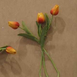 Логотип @luntiiiiiiik - amulya