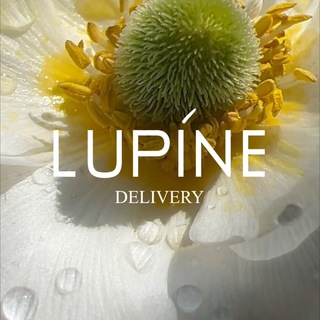 Логотип @lupine_delivery - Lupine