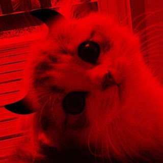 Логотип @lustgodde - lust goddes