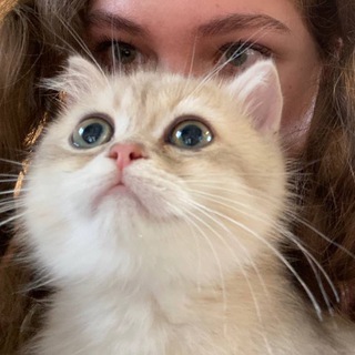 Логотип @lutikmilashka - лютик котик