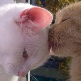 Логотип @luv_eto - люблю