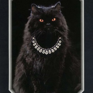 Логотип @luxuryjwlr - LUXURY JEWELRY BRANDS