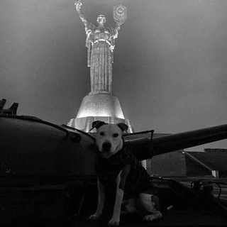 Логотип @luxurymusiktd - Музыка в машину | Популярная музыка