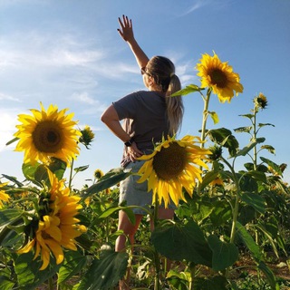 Логотип @lvenkaa - Тайная жизнь Анастасии😸🤭