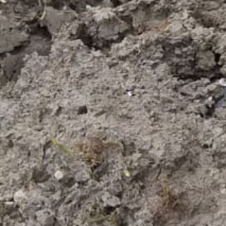 Логотип @lwfofficial - Closed