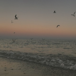 Логотип @lxpslx - як народжувалась Одарка💔