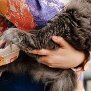 Логотип @lyingonthecouch - Между нами говоря