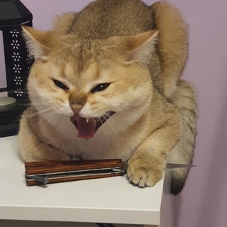 Логотип @lynn_raw - ʟʏɴɴ.ᴍʏᴀᴠ