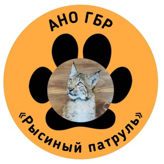 Логотип @lynx_patrol_cannel - Рысиный патруль🐾
