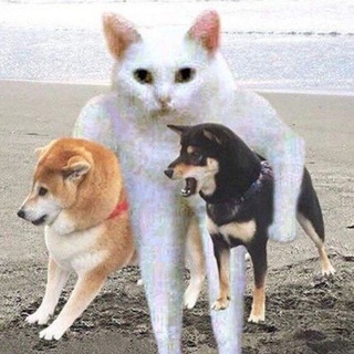 Логотип @lystiivky - ті самі листівки