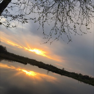 Логотип @lyubertsy - Финансы | Экономика | Дивиденды