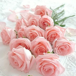 Логотип @lyubimaya_stranica - Любимая страничка