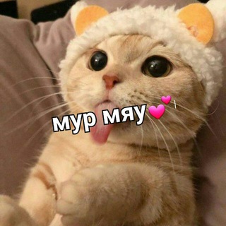 Логотип @lyublyu_nenaviju - мур мяу 💕
