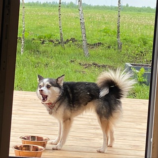 Логотип @lyudmilawtf - Людмила, зачем. Chat