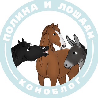 Логотип @lyuska_meee - Полина и Лошади | коноблог