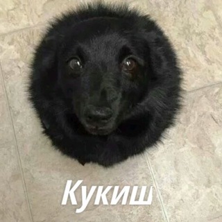 Логотип @lyutayakhuynya - топ 10