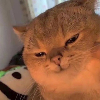 Логотип @m1usan1 - miu._.san Chat