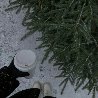 Логотип @m_08_15_200 - ❄️W I N T E R❄️