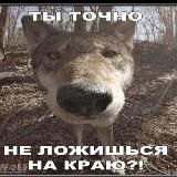 Логотип @m_aayy - Анекдоты которые мне нравятся