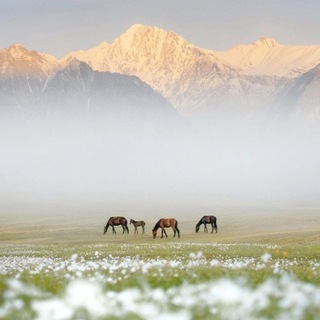 Логотип @m_e_m_o_r_y_s1 - 𝓂𝓎 𝓌𝑜𝓇𝓁𝒹🌿