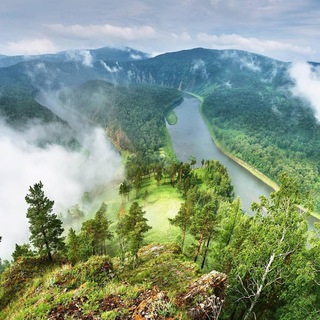 Логотип @m_petlya - Манская петля