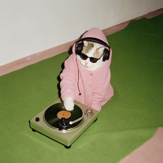 Логотип @maaashakasha - MASHAKASHA