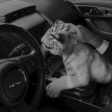 Логотип @maafiossii - .)