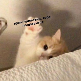 Логотип @mable209 - Привет, я Мэйбл 🦋