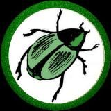 Логотип @macantss - MAC-ants // интересное о муравьях!