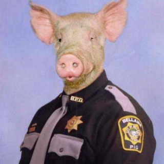 Логотип @macdudl - Macdudl