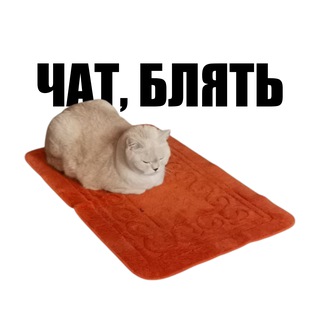Логотип @mackmemeschat - ПЕРСИК | Чат 🐈