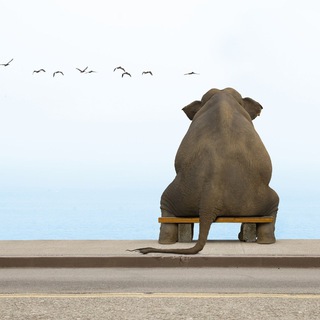 Логотип @macro_partners - 💹МАКРО ПАРТНЁРЫ