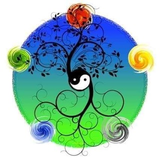 Логотип @macro_vita - La cucina della vitalità di Serena De Prophetis ☯