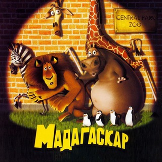 Логотип @madagaskar8 - Мадагаскар мультфильм