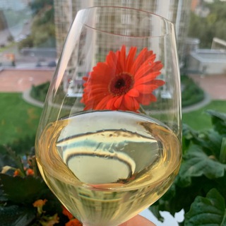 Логотип @madamchardonnay - Под бокал Крымского шардоне