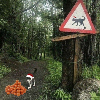 Логотип @madeinchinass - запах утренней листвы