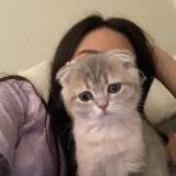 Логотип @madinovaas - .