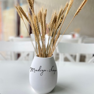 Логотип @madiya_shop - Madiya_shop