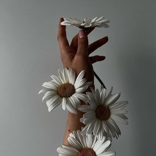 Логотип @madly_kn - ❤️