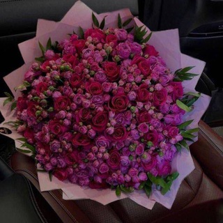 Логотип @madoshkah - Несбывшаяся мечта Воина.✨